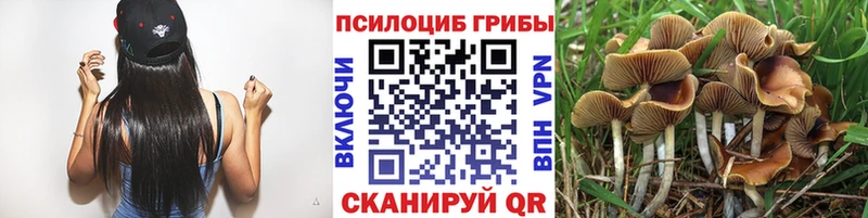 Псилоцибиновые грибы Magic Shrooms  Королёв 